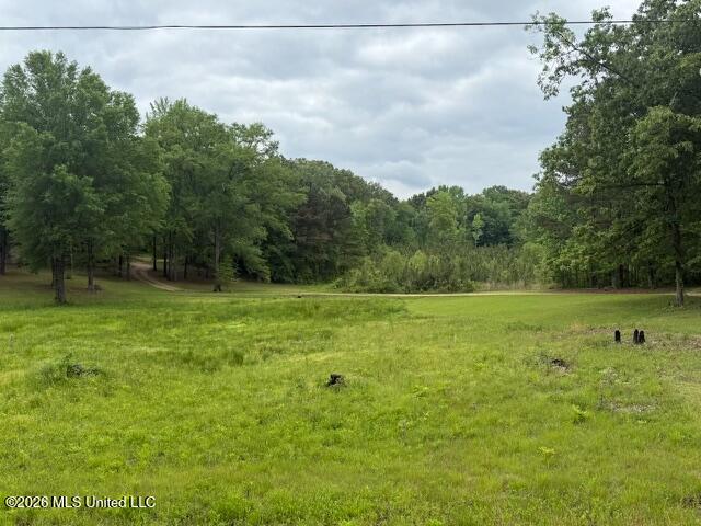 West Grady Road Eupora, MS 39744 - Photo 3 of 12 IMG_7068