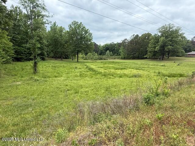 West Grady Road Eupora, MS 39744 - Photo 4 of 12 IMG_7070