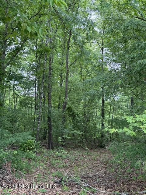 West Grady Road Eupora, MS 39744 - Photo 9 of 12 IMG_7078