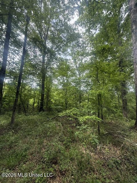 West Grady Road Eupora, MS 39744 - Photo 10 of 12 IMG_7080
