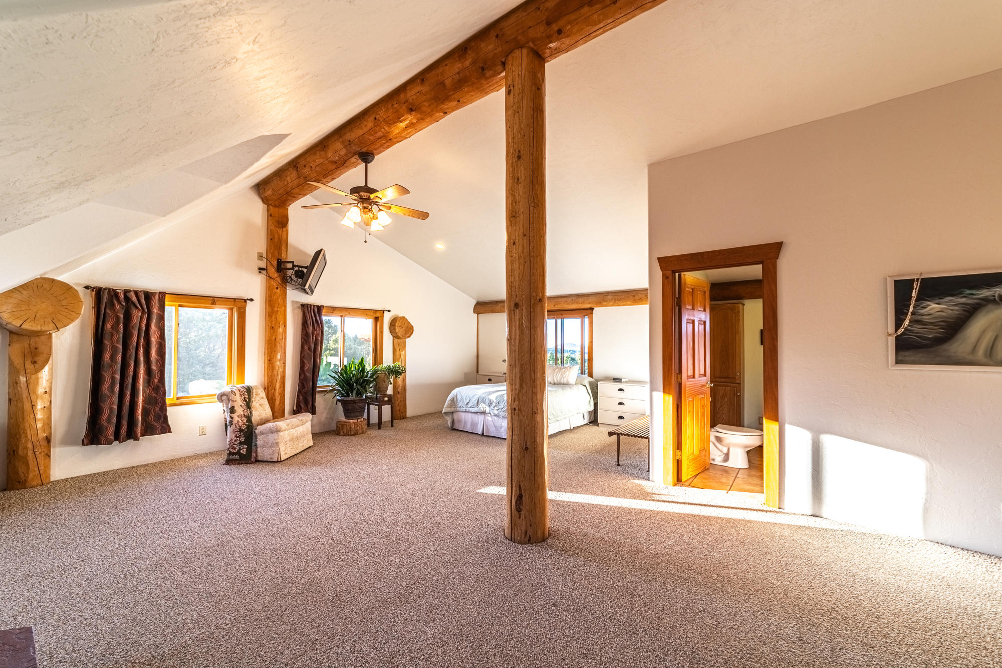 270 Pinon Road East Ridgway, CO 81432 - Photo 28 of 34 270PinionE-Gardner-Shari-28