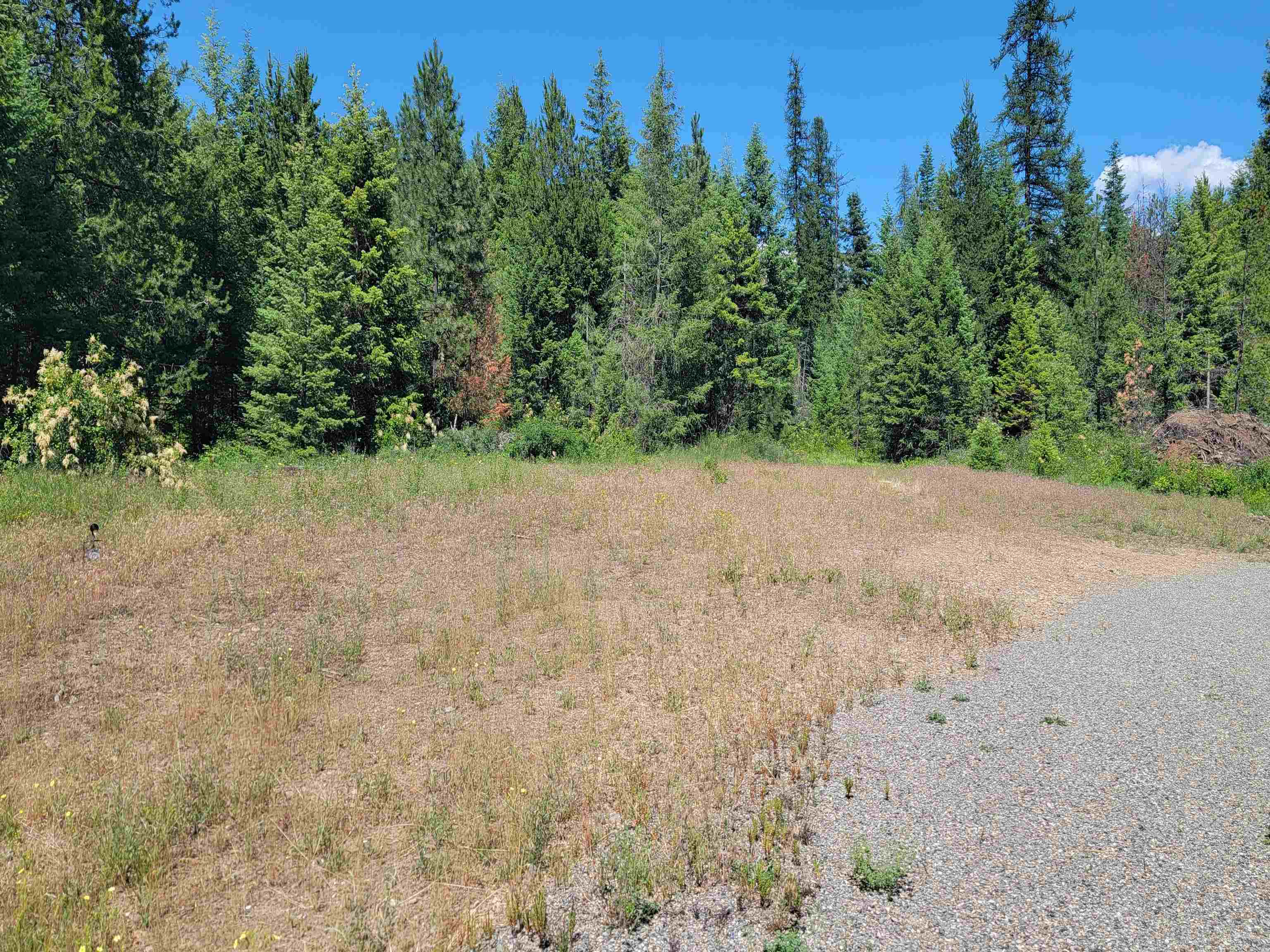 1456-1460 Misty Ridge Lane Newport, WA 99156 - Photo 14 of 48