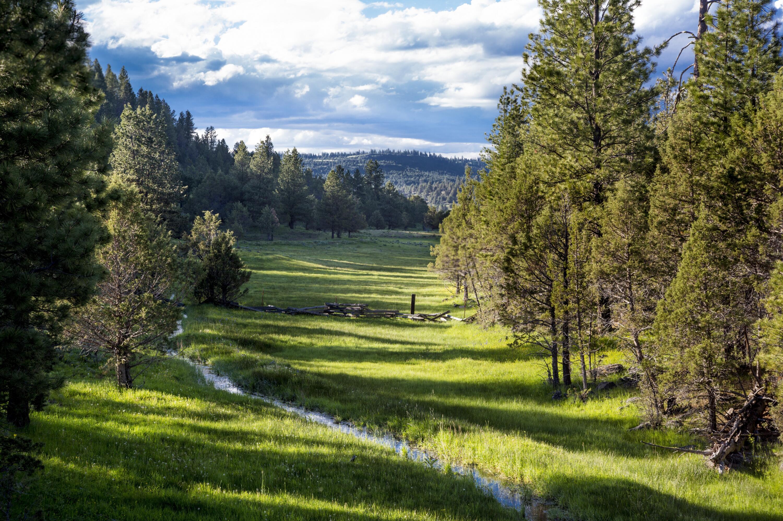 0 Fishhole Creek Road Bly, OR 97622 - Photo 29 of 38 creek from Lapham oregon aspen ridge ran