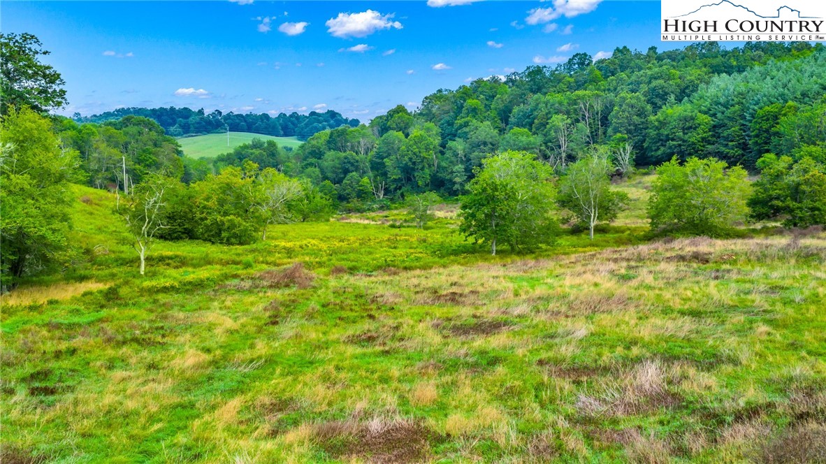 554 New Hope Church Road Laurel Springs, NC 28644 - Photo 12 of 47 Gallery Image 12