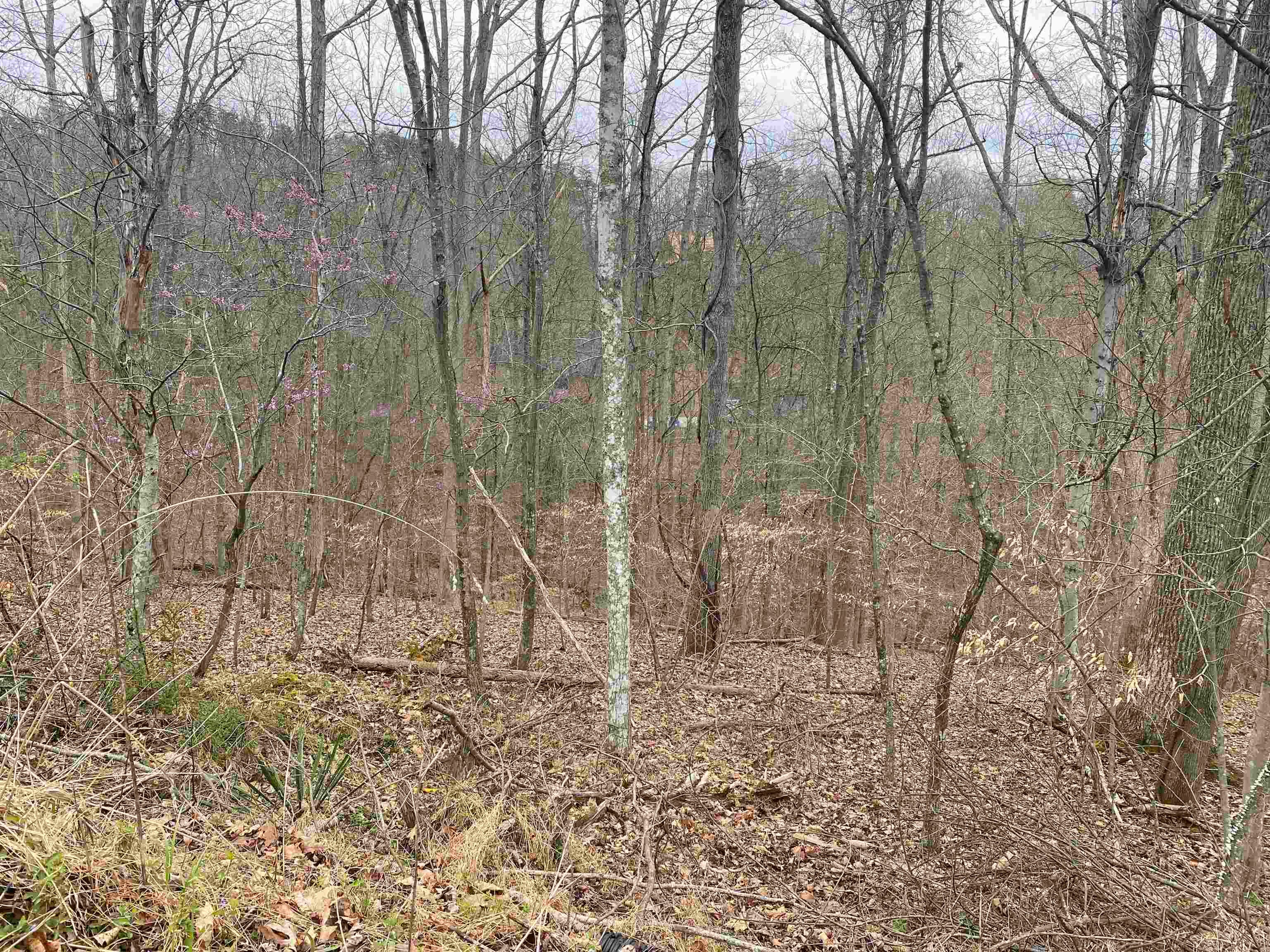 701 Tower Road Hurricane, WV 25526 - Photo 15 of 20 Gallery Image 15