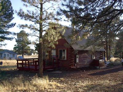 7087 East Robin Hood Road Williams, AZ 86046 - Photo 1 of 1 Primary Photo