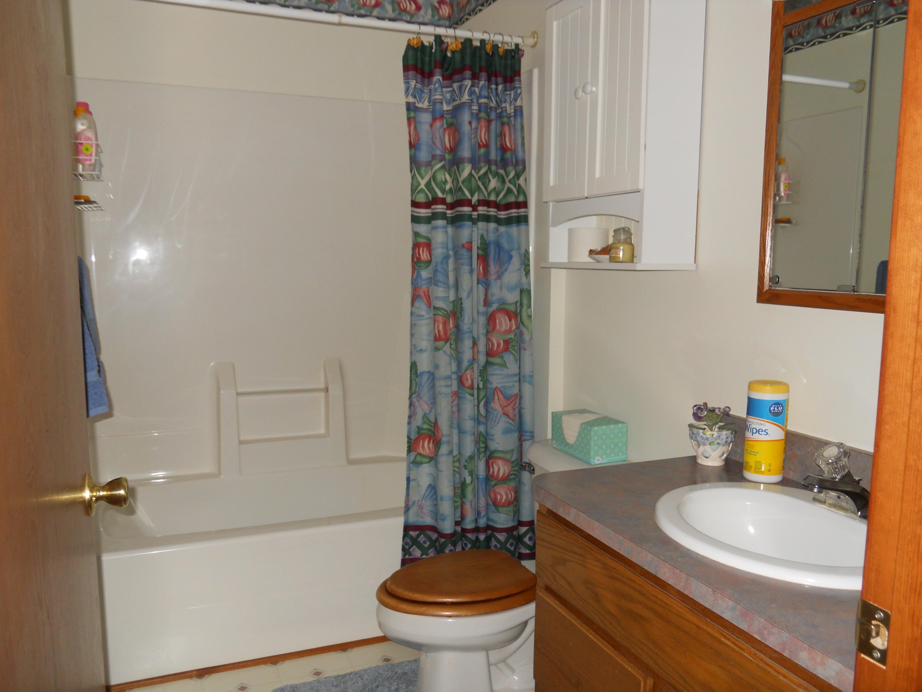 1550 Patterson Road Elmira, MI 49730 - Photo 11 of 35 Gallery Image 11
