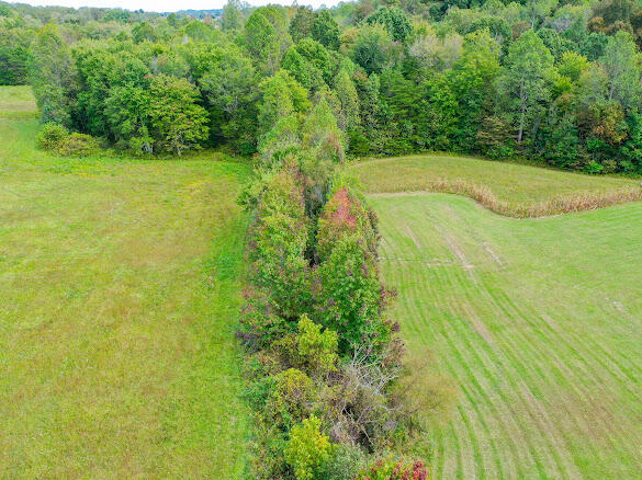 9999 Nora Belle Road London, KY 40741 - Photo 33 of 34 IMG_8458