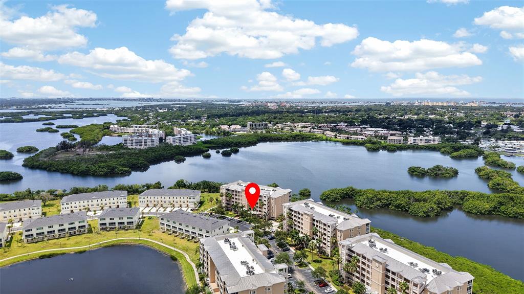 10002 Key Haven Road, Unit 204 Seminole, FL 33777 - Photo 8 of 73