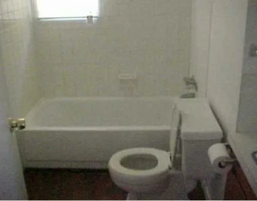 a bathroom with a toilet and a bathtub