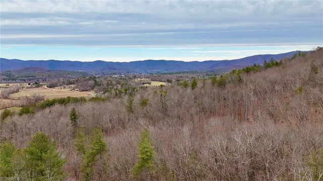 $74,999 | 0 Big Rock Lane, Lowgap, NC 27024