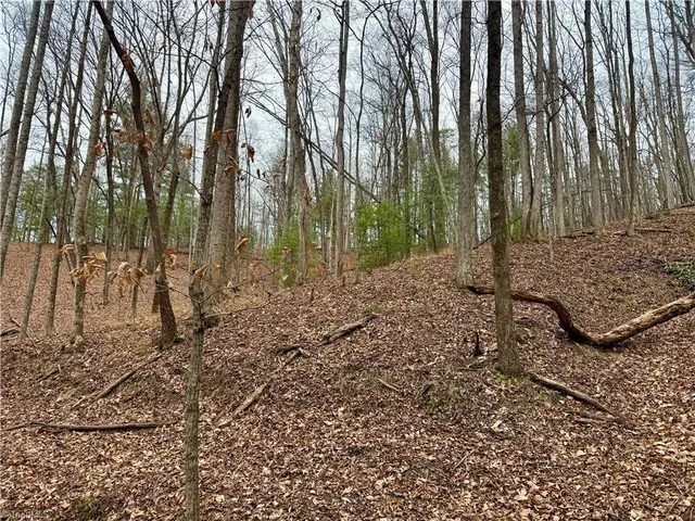 $74,999 | 0 Big Rock Lane, Lowgap, NC 27024