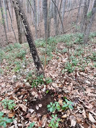 $72,500 | 0 Big Rock Lane, Lowgap, NC 27024