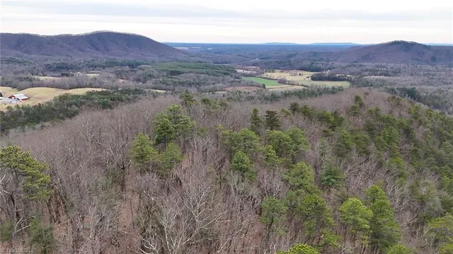 $74,999 | 0 Big Rock Lane, Lowgap, NC 27024