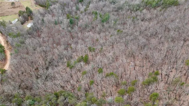 $74,999 | 0 Big Rock Lane, Lowgap, NC 27024