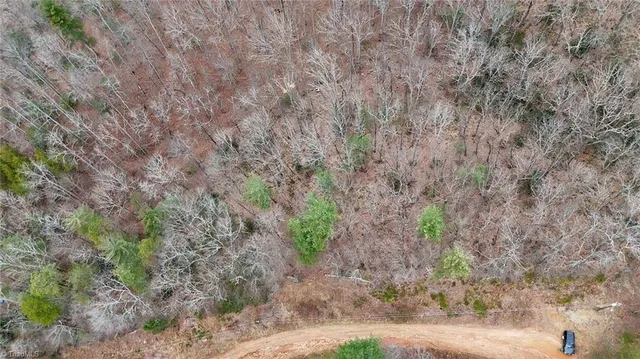 $74,999 | 0 Big Rock Lane, Lowgap, NC 27024