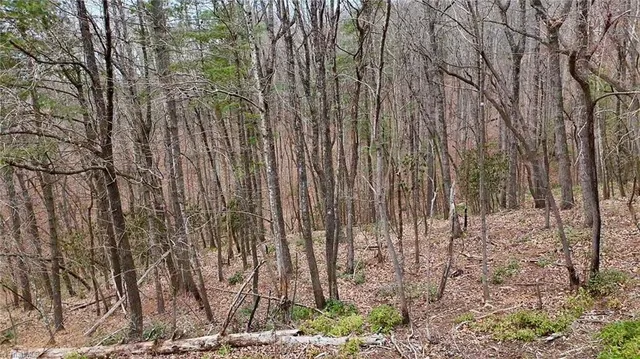 $74,999 | 0 Big Rock Lane, Lowgap, NC 27024