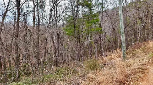 $74,999 | 0 Big Rock Lane, Lowgap, NC 27024