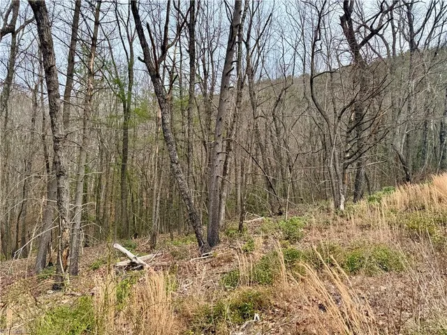 $74,999 | 0 Big Rock Lane, Lowgap, NC 27024