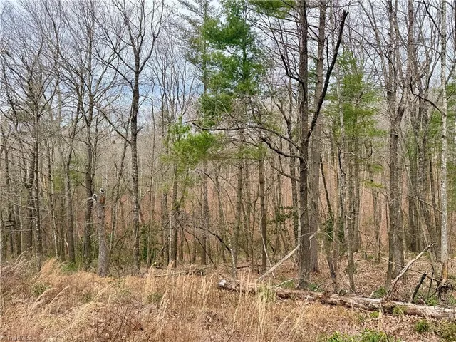 $74,999 | 0 Big Rock Lane, Lowgap, NC 27024