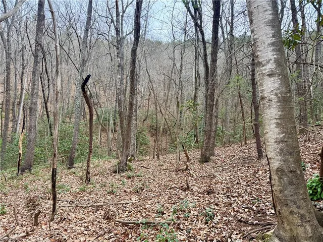 $74,999 | 0 Big Rock Lane, Lowgap, NC 27024