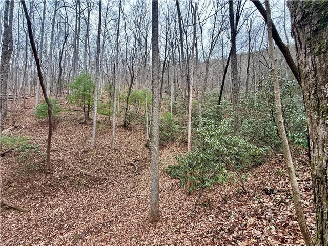 $74,999 | 0 Big Rock Lane, Lowgap, NC 27024