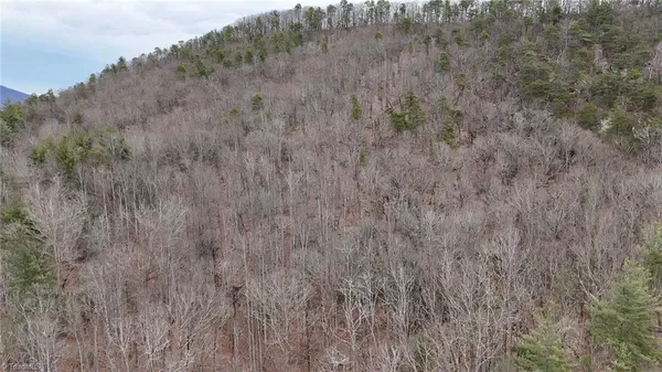 $72,500 | 0 Big Rock Lane, Lowgap, NC 27024