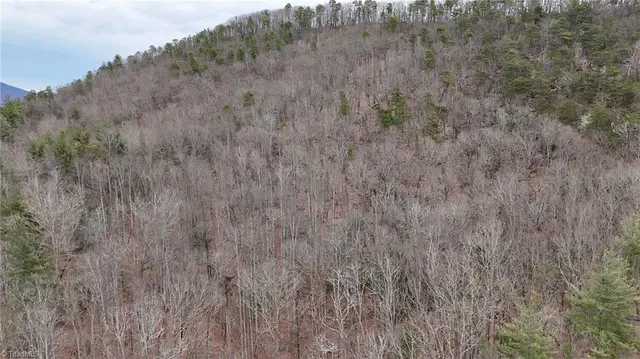 $74,999 | 0 Big Rock Lane, Lowgap, NC 27024