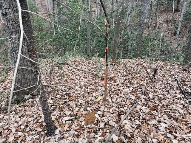 $74,999 | 0 Big Rock Lane, Lowgap, NC 27024