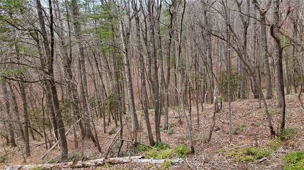 $72,500 | 0 Big Rock Lane, Lowgap, NC 27024