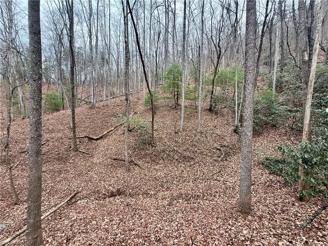 $74,999 | 0 Big Rock Lane, Lowgap, NC 27024