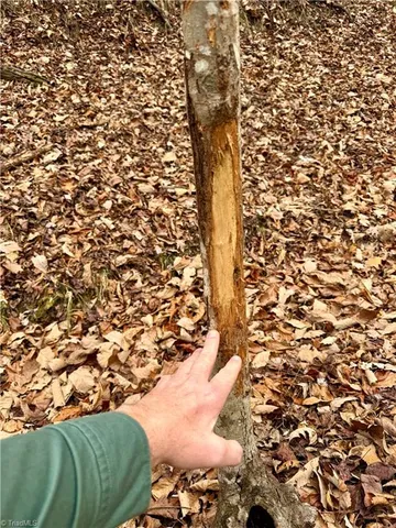 $74,999 | 0 Big Rock Lane, Lowgap, NC 27024