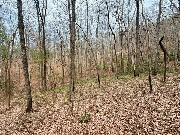 $72,500 | 0 Big Rock Lane, Lowgap, NC 27024