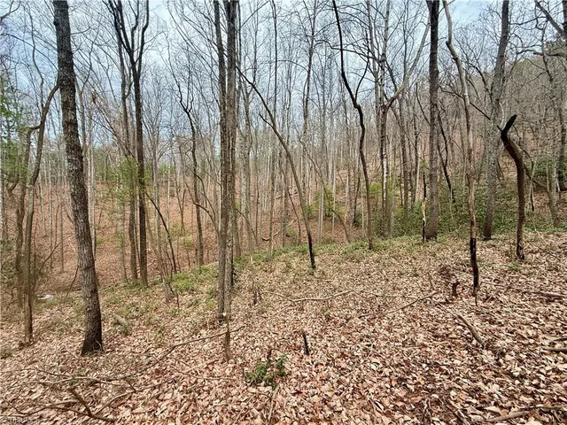 $74,999 | 0 Big Rock Lane, Lowgap, NC 27024