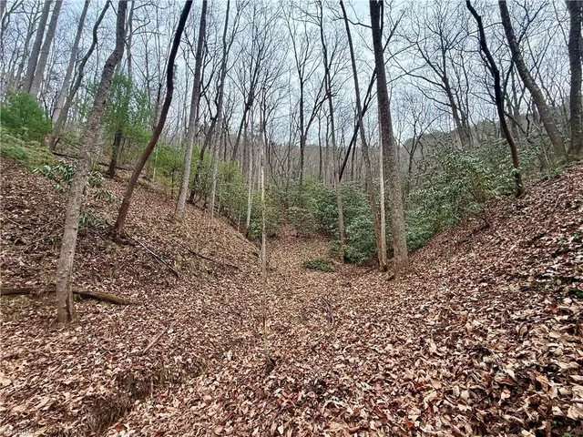 $74,999 | 0 Big Rock Lane, Lowgap, NC 27024