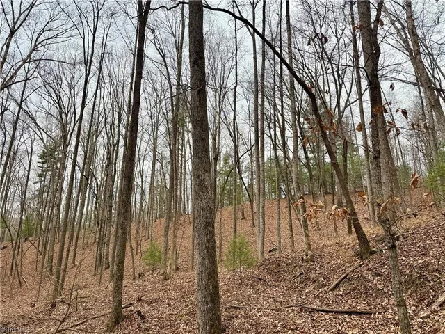 $74,999 | 0 Big Rock Lane, Lowgap, NC 27024