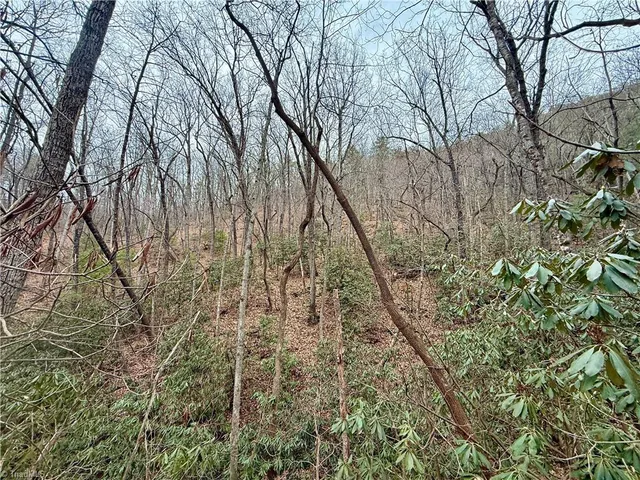 $74,999 | 0 Big Rock Lane, Lowgap, NC 27024