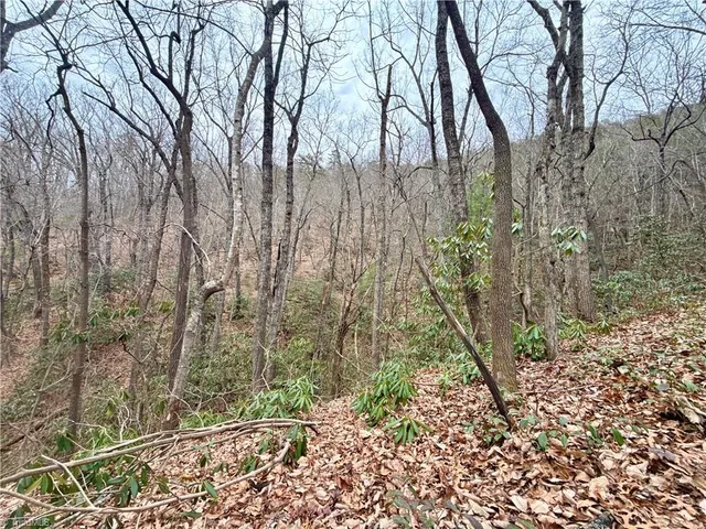 $74,999 | 0 Big Rock Lane, Lowgap, NC 27024