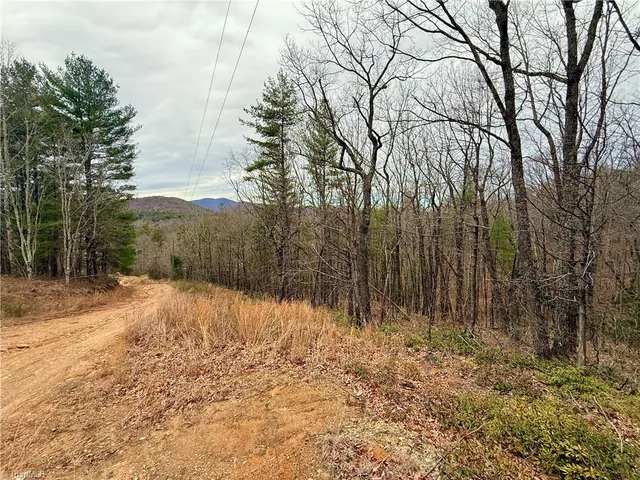 $74,999 | 0 Big Rock Lane, Lowgap, NC 27024