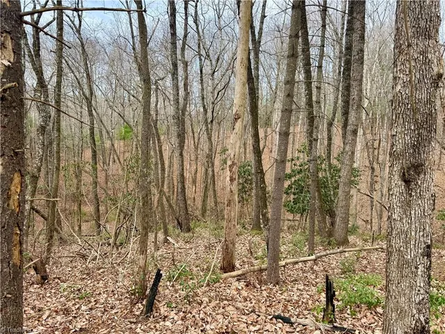 $74,999 | 0 Big Rock Lane, Lowgap, NC 27024