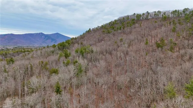 $74,999 | 0 Big Rock Lane, Lowgap, NC 27024