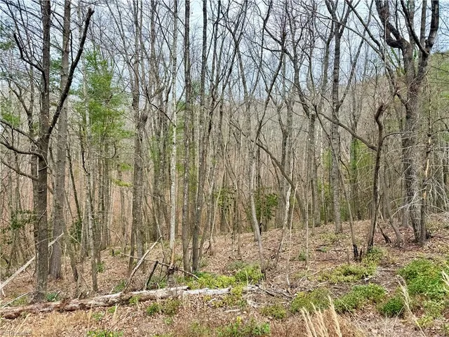 $74,999 | 0 Big Rock Lane, Lowgap, NC 27024