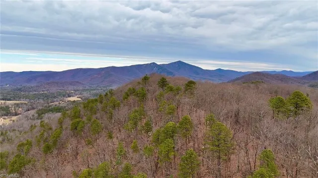 $74,999 | 0 Big Rock Lane, Lowgap, NC 27024