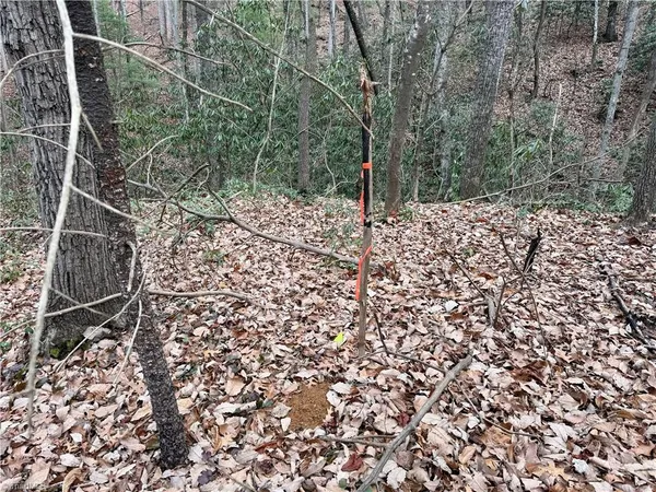 $72,500 | 0 Big Rock Lane, Lowgap, NC 27024