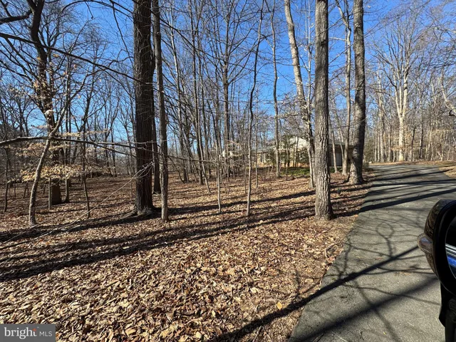 a view of a yard with wooden fence