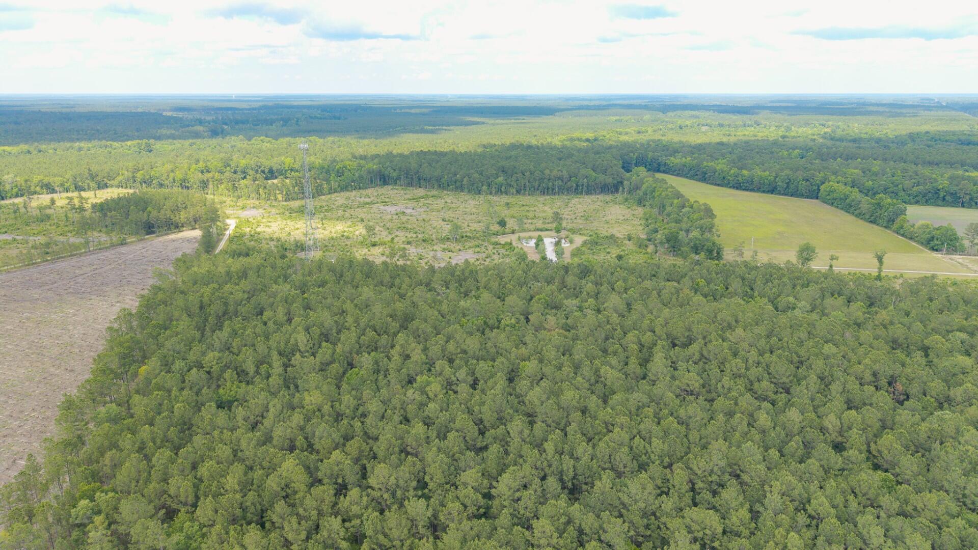 6222 Saints Delight Road, Unit LOT 8 Georgetown, SC 29440 - Photo 11 of 26