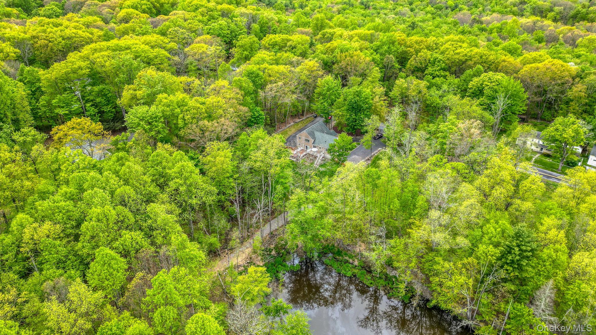90 M And M Road Middletown, NY 10940 - Photo 41 of 50 a view of a lush green forest