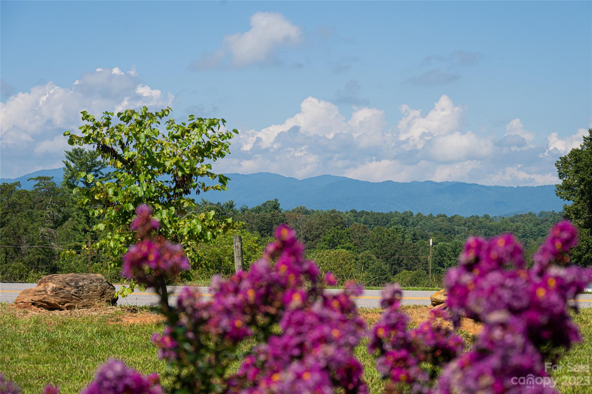 1480 Jenkins Valley Road Alexander, NC 28701 - Photo 40 of 40 a view of a flower
