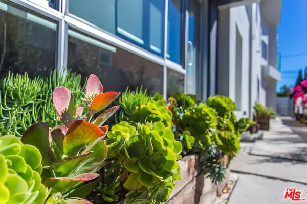 $5,795 | 613 6th Avenue, Venice, CA 90291