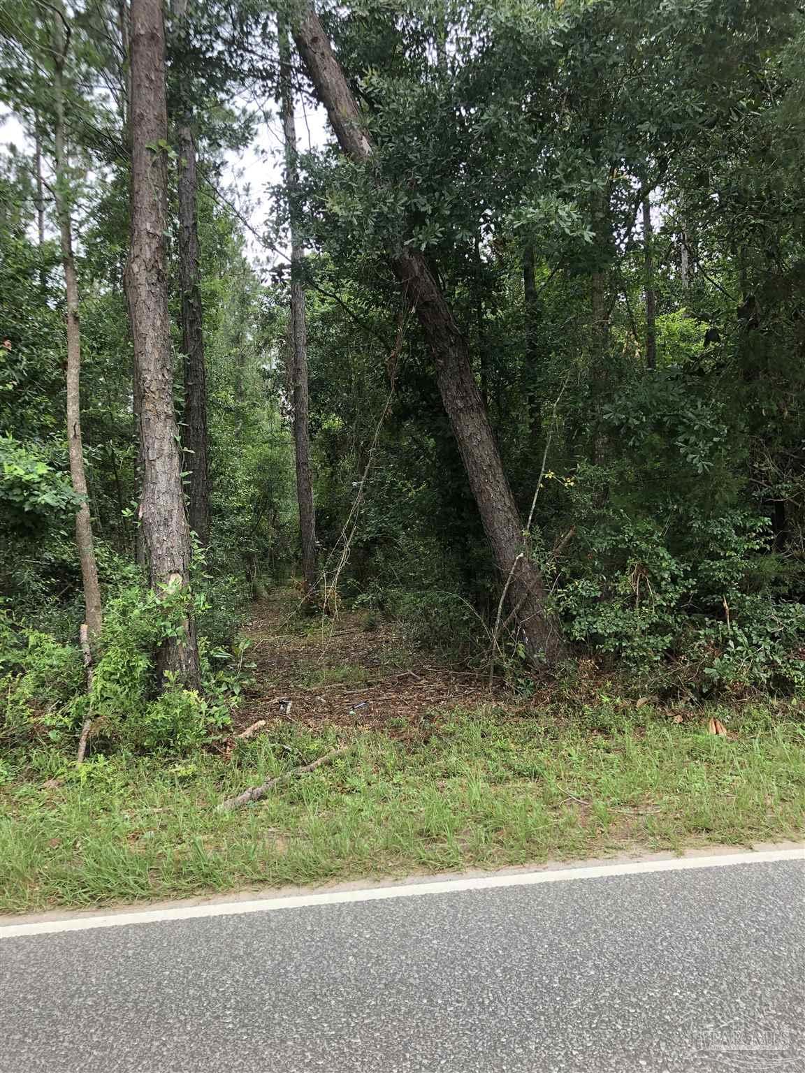 Lot 8 Virecent Road Cantonment, FL 32533 - Photo 2 of 8